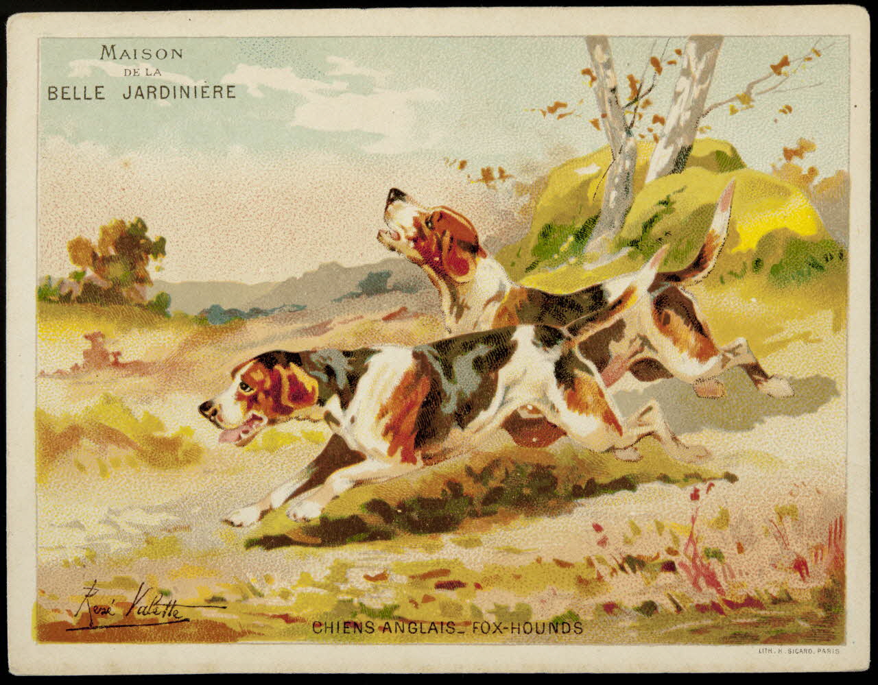 carte réclame CHIENS ANGLAIS - FOX HOUNDS 1974.50.3 Photo Mucem