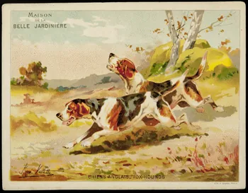 carte réclame CHIENS ANGLAIS - FOX HOUNDS 1974.50.3 Photo Mucem