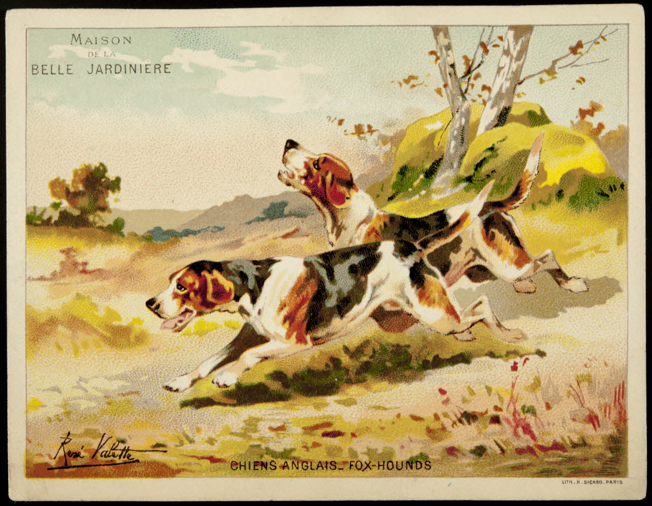 carte réclame chromo 1974.50.6 Photo Mucem