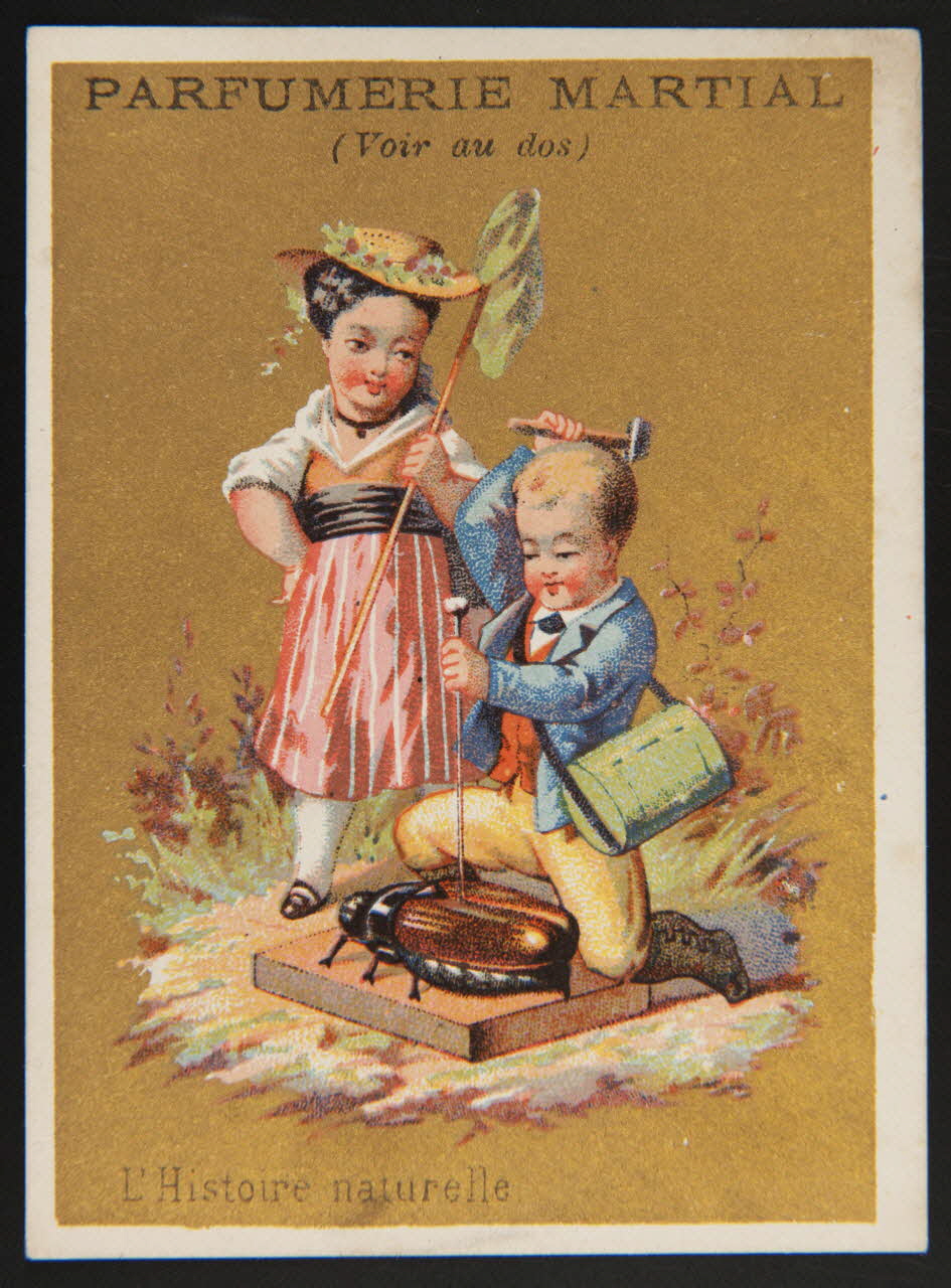 carte réclame L'Histoire naturelle 1974.50.874 Photo Mucem