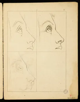 album Esquisse de visage 1974.53.53.2  Photo Mucem