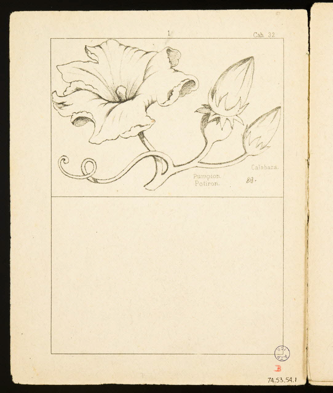 album Potiron. 1974.53.54.1 Photo Mucem