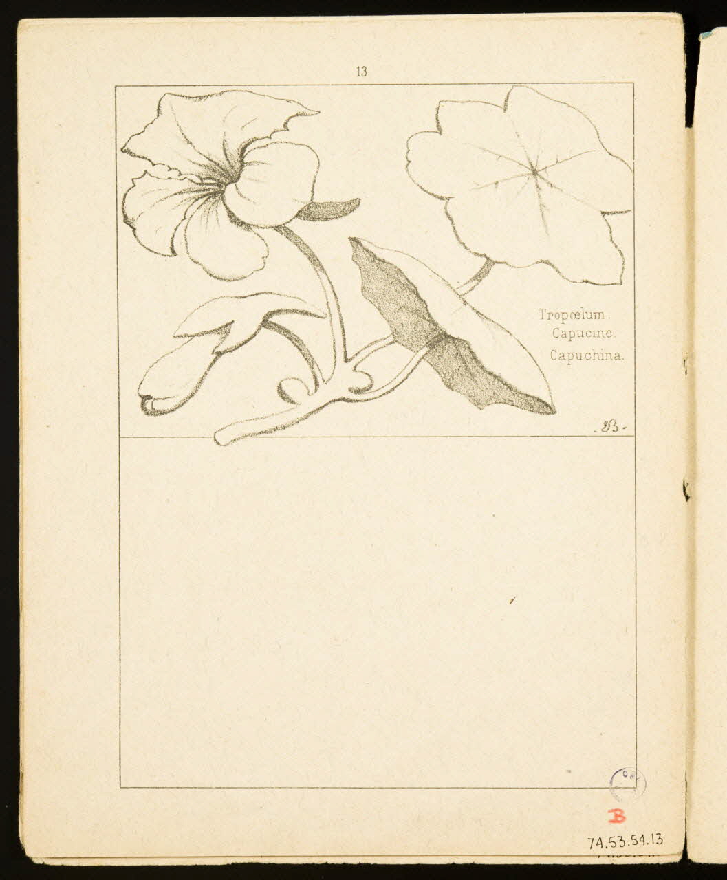 album Capucine. 1974.53.54.13 Photo Mucem