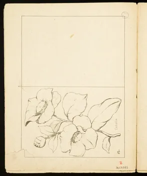 album Camélia. 1974.53.54.5 Photo Mucem