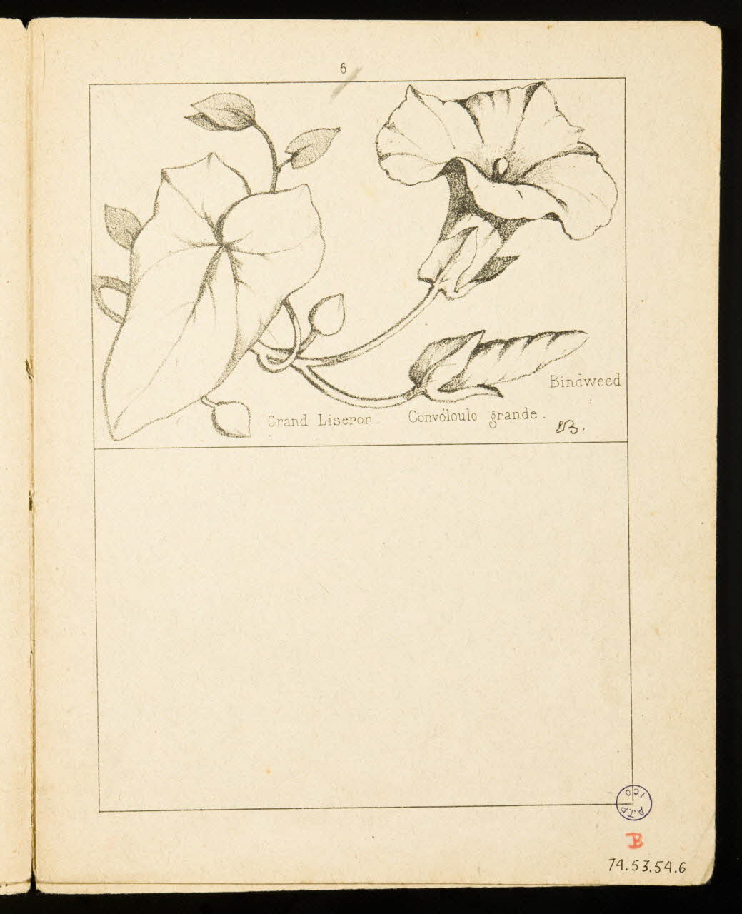 album Grand Liseron. 1974.53.54.6 Photo Mucem