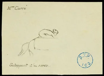 partie d'un ensemble de dessins Mme Carré  Galoppant à la corde 1968.102.1106 Photo Mucem