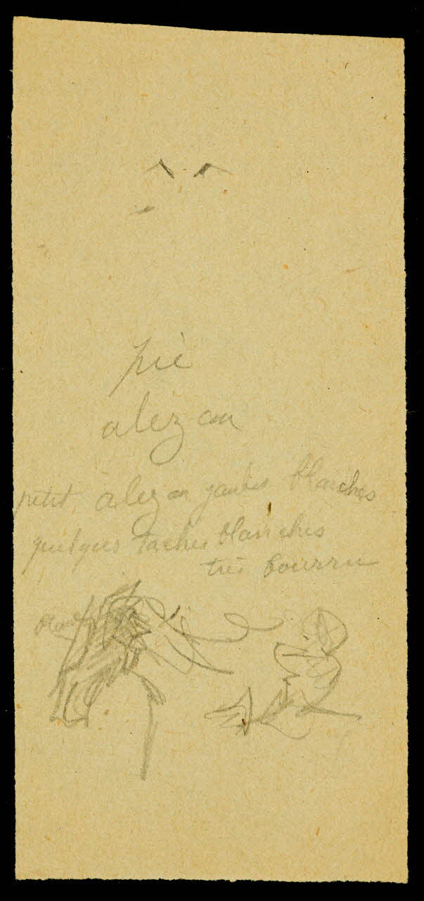 partie d'un ensemble de dessins Esquisse de cheval 1968.102.1129.12 Photo Mucem