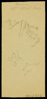 partie d'un ensemble de dessins Esquisse de cheval 1968.102.1129.12 Photo Mucem