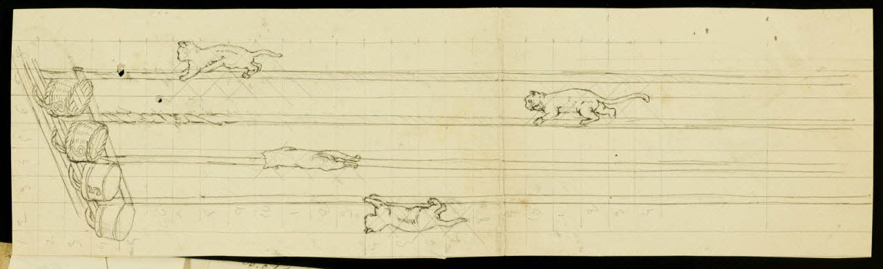 partie d'un ensemble de dessins Chats acrobates 1968.102.1191.9 Photo Mucem