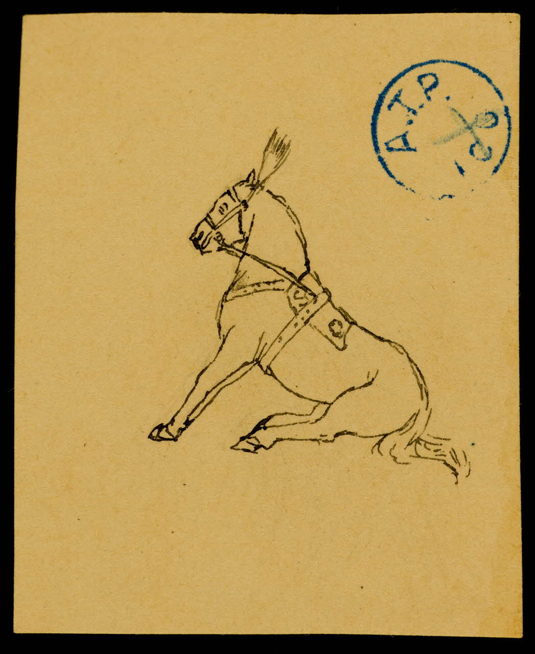 partie d'un ensemble de dessins Cheval assis 1968.102.1207.12 Photo Mucem