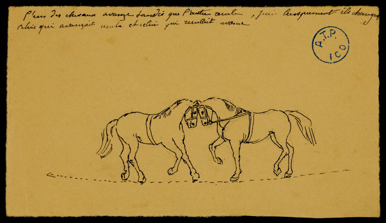 partie d'un ensemble de dessins Numéro de dressage de chevaux 1968.102.1207.15 Photo Mucem