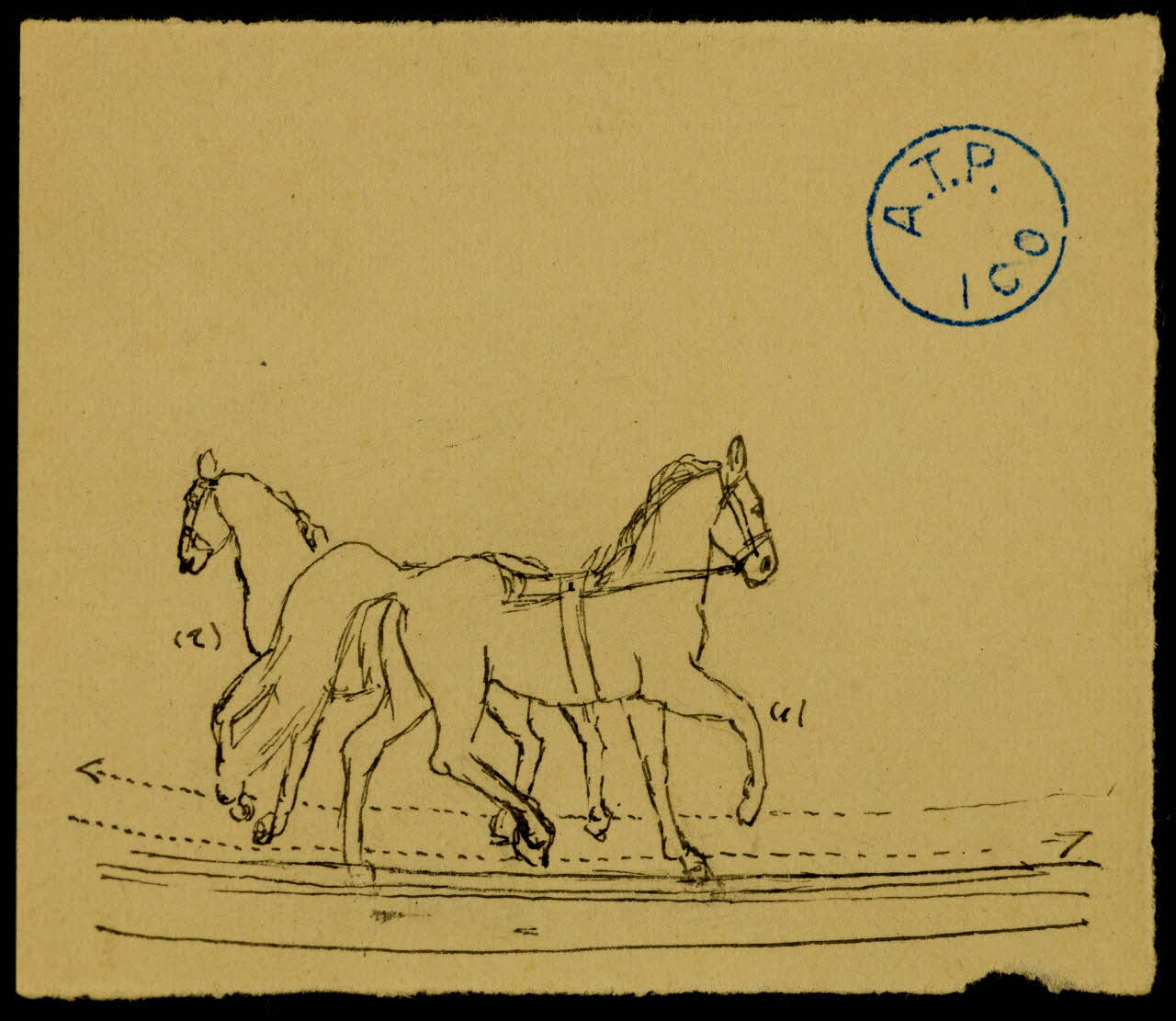 partie d'un ensemble de dessins Numéro de dressage de chevaux 1968.102.1207.19 Photo Mucem