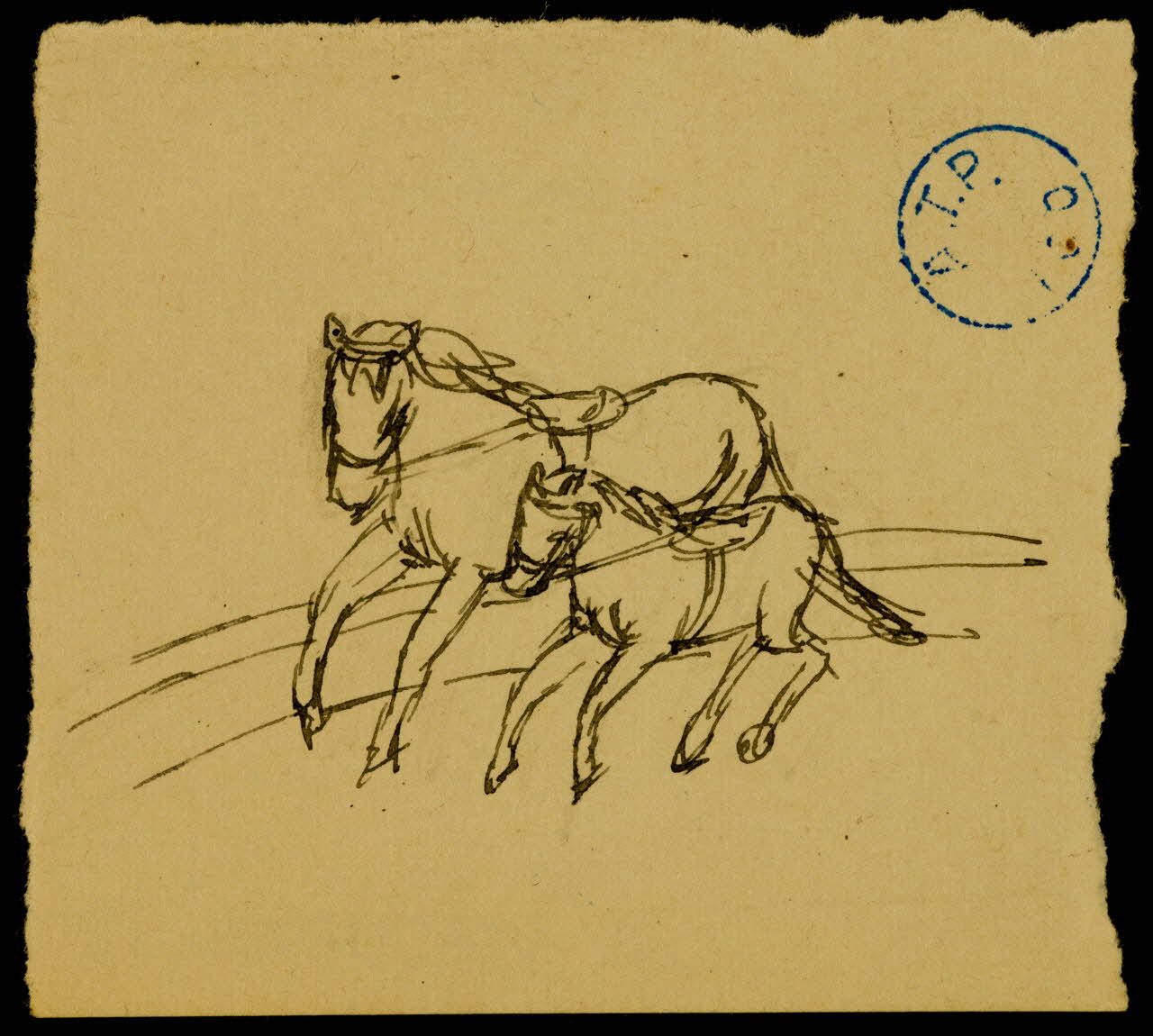 partie d'un ensemble de dessins Chevaux 1968.102.1211.2 Photo Mucem