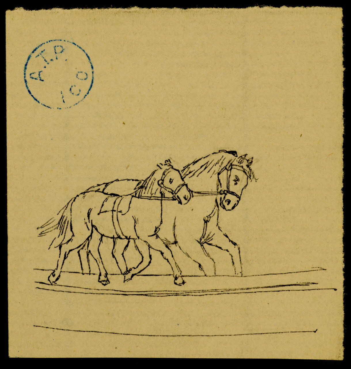 partie d'un ensemble de dessins chevaux  pie alezan 1968.102.1211.5 Photo Mucem