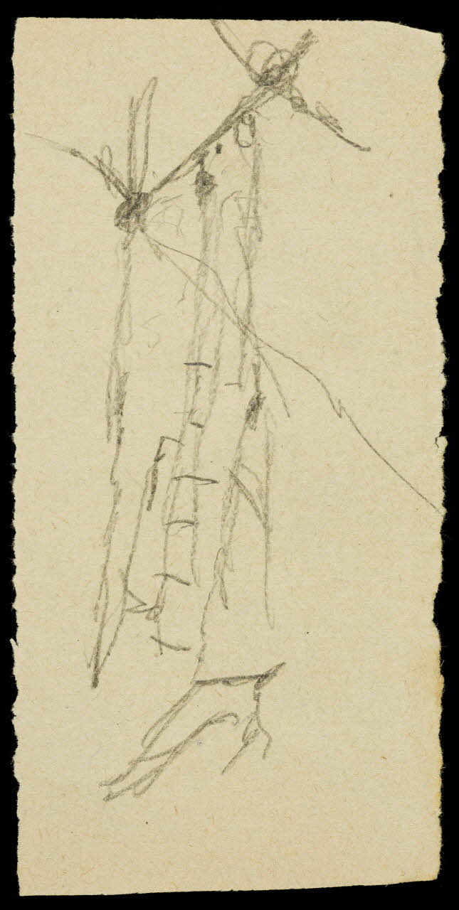 partie d'un ensemble de dessins Eléments d'une structure de cirque 1968.102.1276.6 Photo Mucem