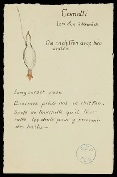 partie d'un ensemble de dessins Comotti  oie en chiffon assez bien  imitée 1968.102.1316.2  Photo Mucem