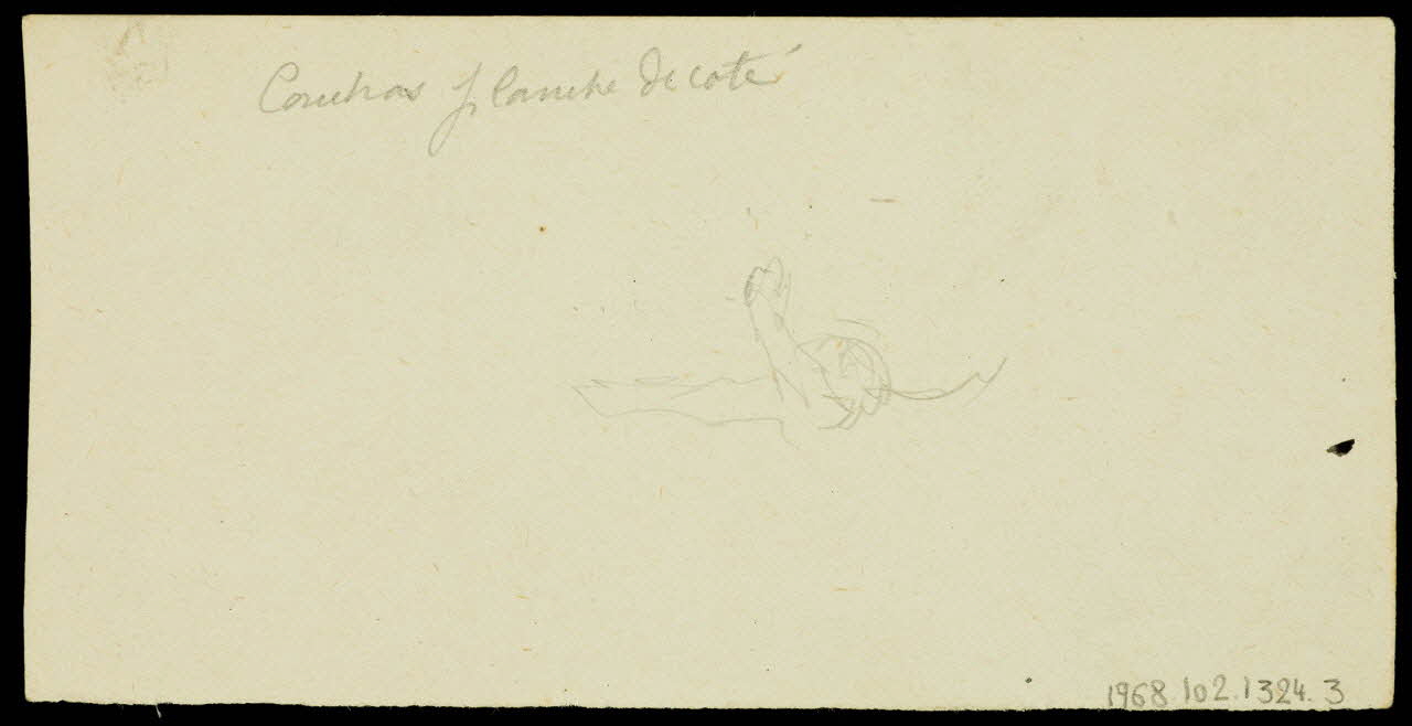 partie d'un ensemble de dessins Conchas 1968.102.1324.3 Photo Mucem