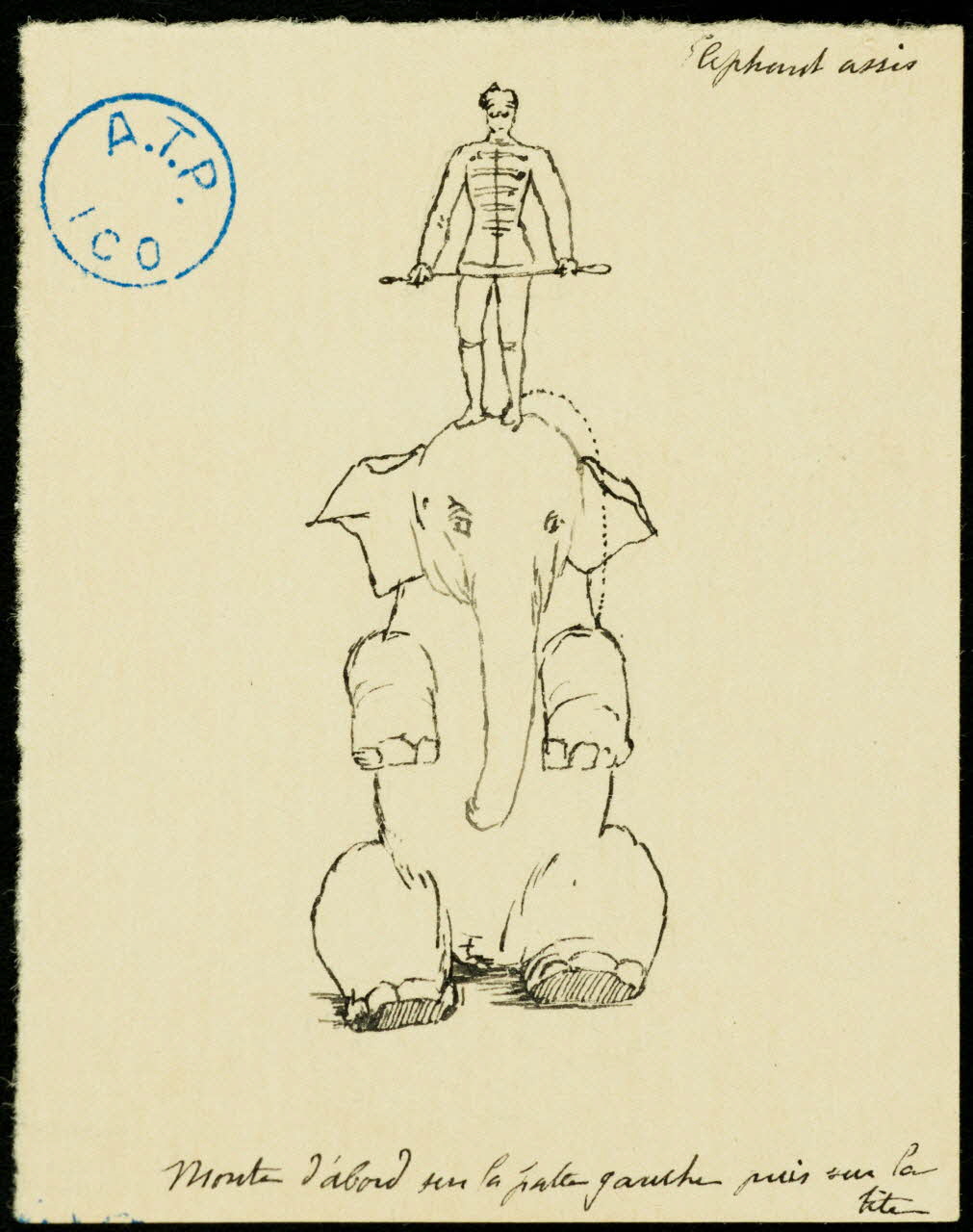 partie d'un ensemble de dessins Eléphant assis 1968.102.1397.17 Photo Mucem