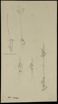 partie d'un ensemble de dessins Chantant et dansant 1968.102.1502 Photo Mucem
