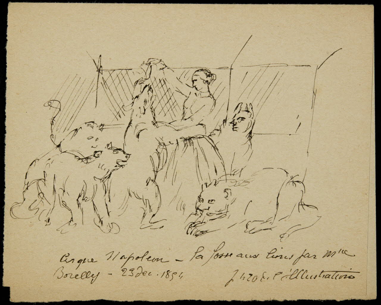 partie d'un ensemble de dessins La fosse aux lions par Mlle  Borelly 1968.102.1508 Photo Mucem