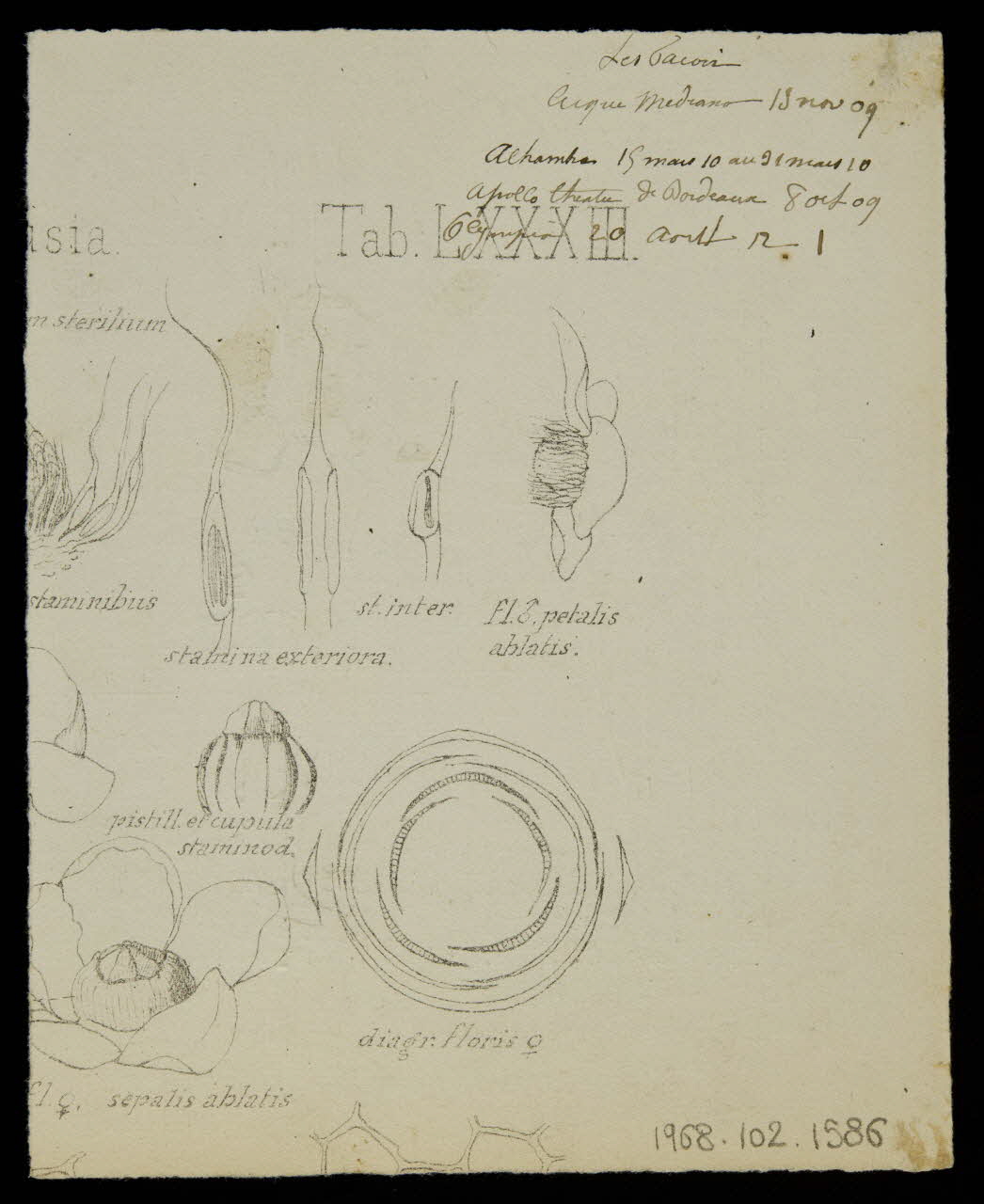 partie d'un ensemble de dessins Les Facori 1968.102.1586  Photo Mucem