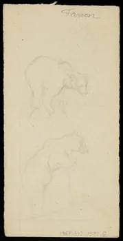 partie d'un ensemble de dessins Adde Farren 1968.102.1592.6  Photo Mucem