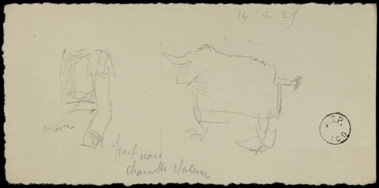 partie d'un ensemble de dessins Veste et vache 1968.102.1702.17 Photo Mucem