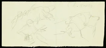 partie d'un ensemble de dessins Insecte 1968.102.1702.58 Photo Mucem