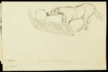 partie d'un ensemble de dessins Mme Houcke 1968.102.1918.3 Photo Mucem