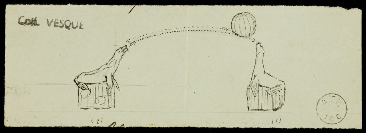 partie d'un ensemble de dessins Spectacle d'otaries 1968.102.1958.2 Photo Mucem