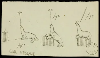 partie d'un ensemble de dessins Tommie a Judge 1968.102.1961.2 Photo Mucem