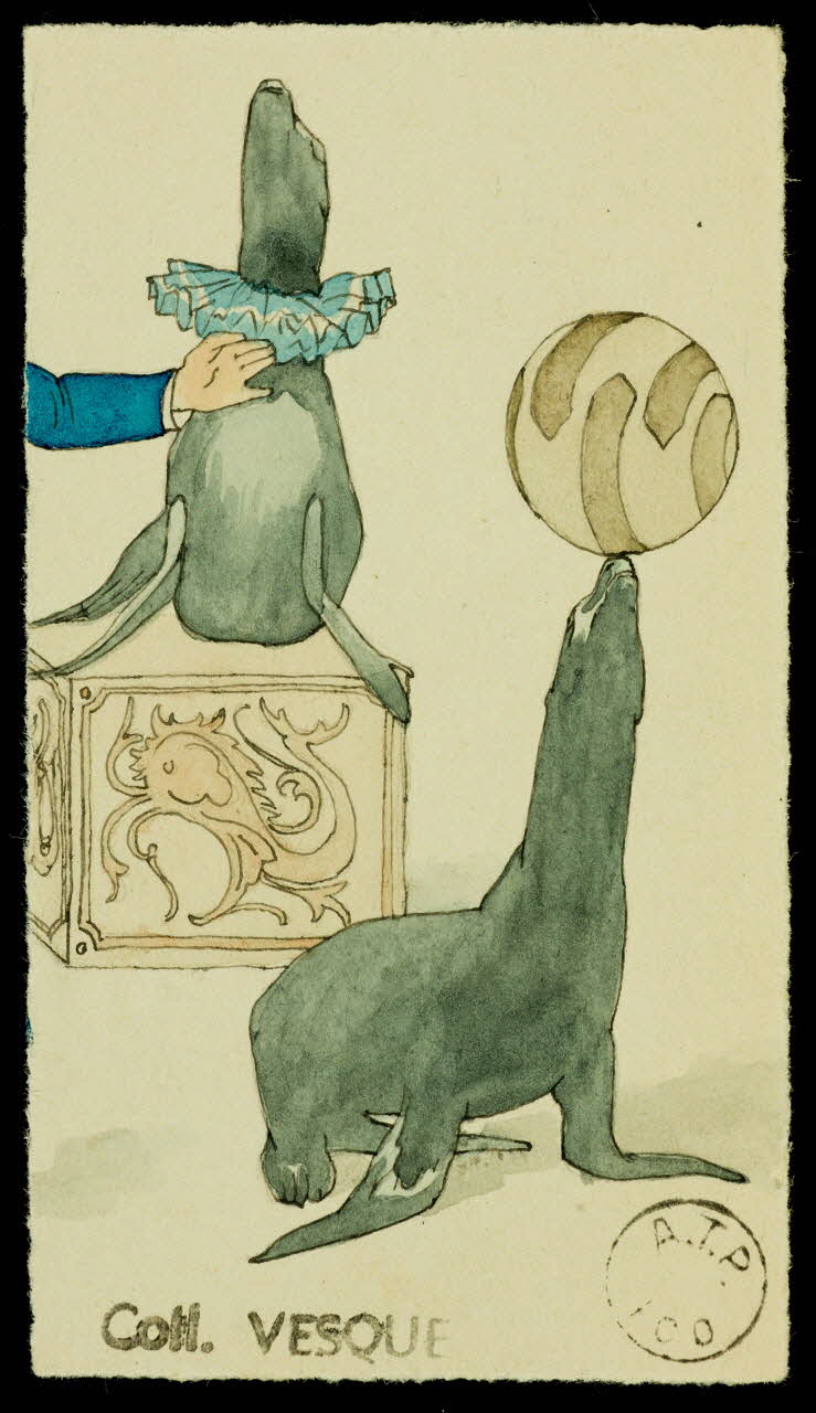 partie d'un ensemble de dessins Pour la collecte  du phoque  de Mme Juliette 1968.102.1965.10 Photo Mucem
