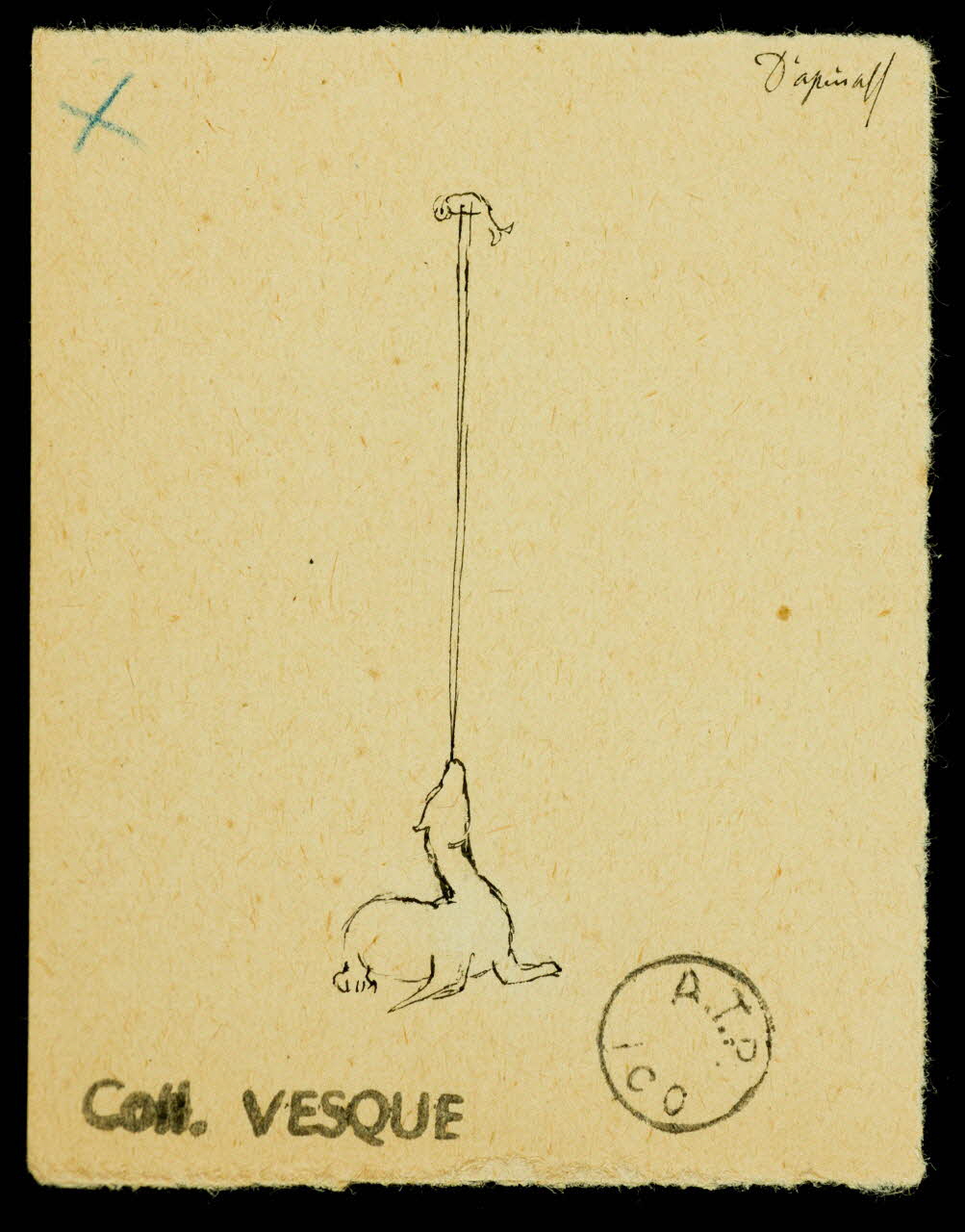 partie d'un ensemble de dessins Numéro d'otarie 1968.102.1965.4 Photo Mucem
