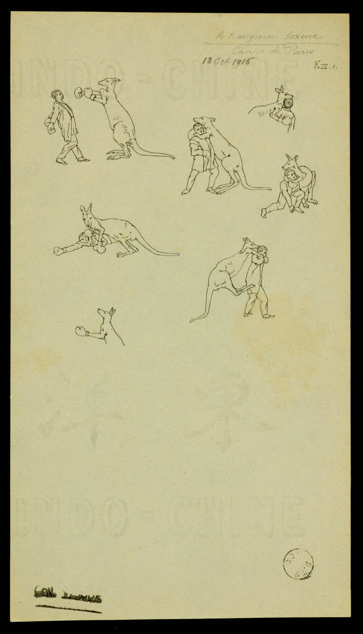 partie d'un ensemble de dessins Le Kangoorou boxeur 1968.102.1975 Photo Mucem