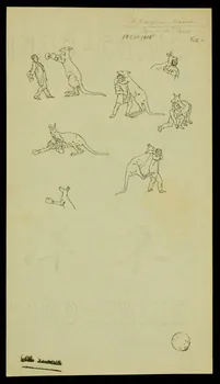partie d'un ensemble de dessins Le Kangoorou boxeur 1968.102.1975  Photo Mucem
