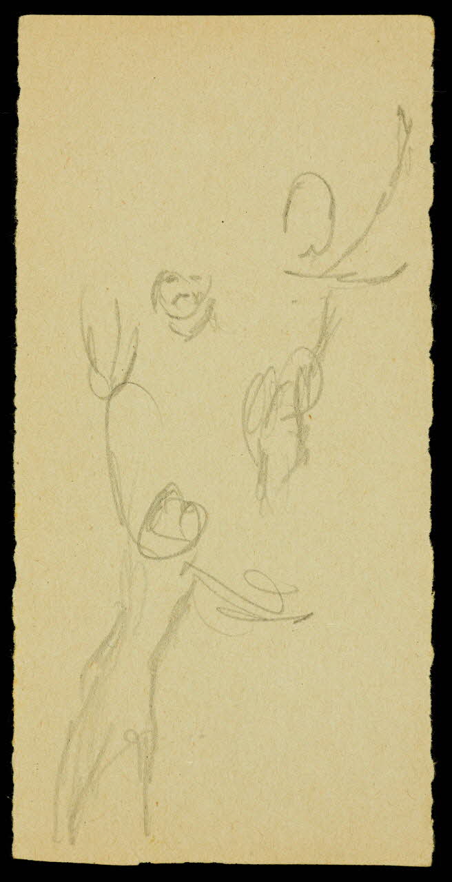partie d'un ensemble de dessins Croquis d'acrobates 1968.102.1991.7 Photo Mucem