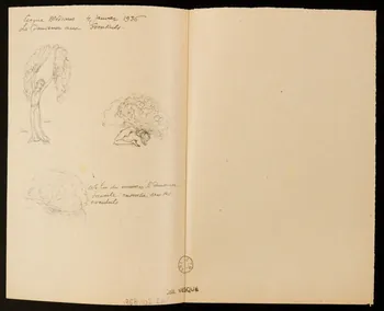 partie d'un ensemble de dessins Babara La May 1968.102.2009  Photo Mucem