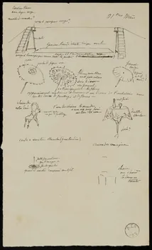 partie d'un ensemble de dessins Mlles Maïs 1968.102.2125.16 Photo Mucem