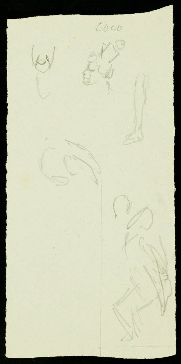 partie d'un ensemble de dessins Coco 1968.102.2134.36 Photo Mucem