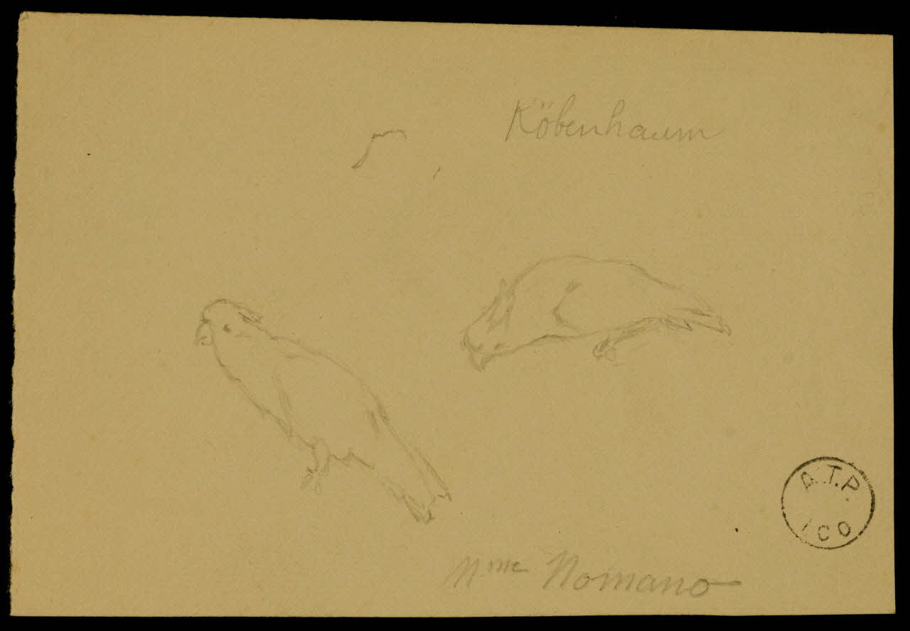 partie d'un ensemble de dessins Mme Nomano 1968.102.2274.3 Photo Mucem