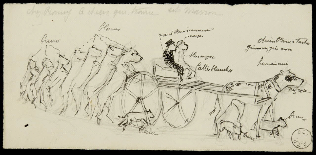 partie d'un ensemble de dessins chez [illisible] le chien qui traine est marron 1968.102.2348.11 Photo Mucem