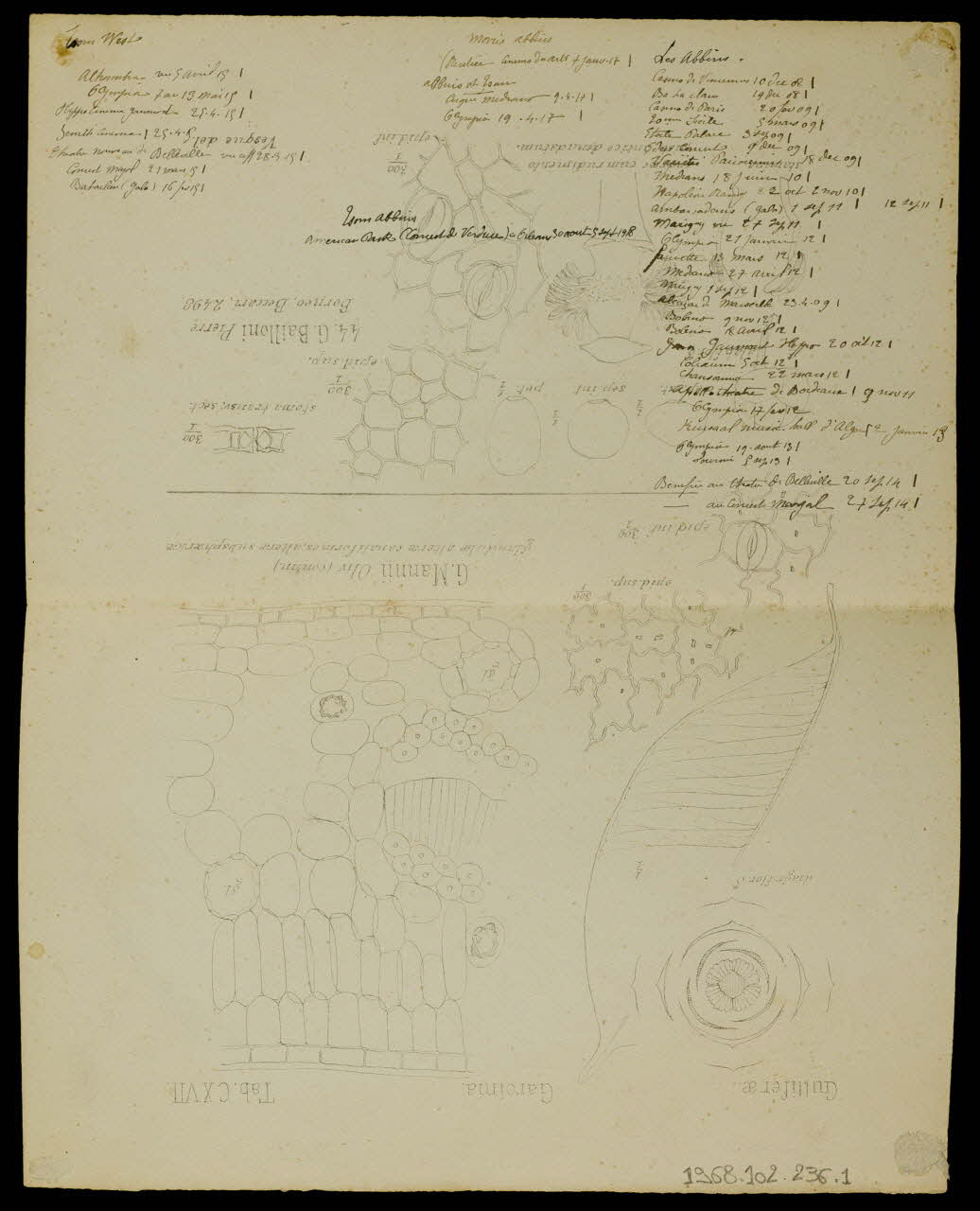 partie d'un ensemble de dessins Les Abbins 1968.102.236.1 Photo Mucem