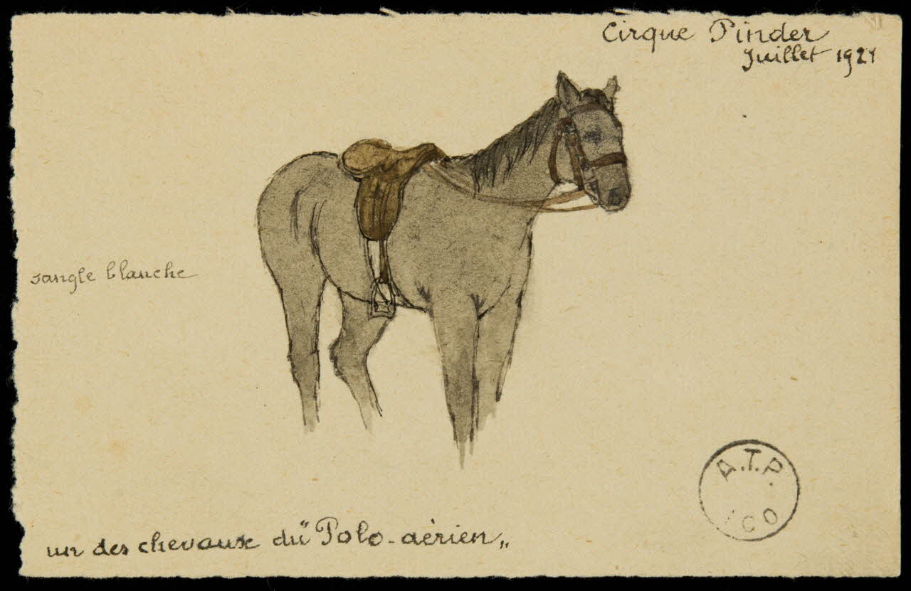 partie d'un ensemble de dessins un des chevaux du ""Polo-aérien"" 1968.102.2416 Photo Mucem