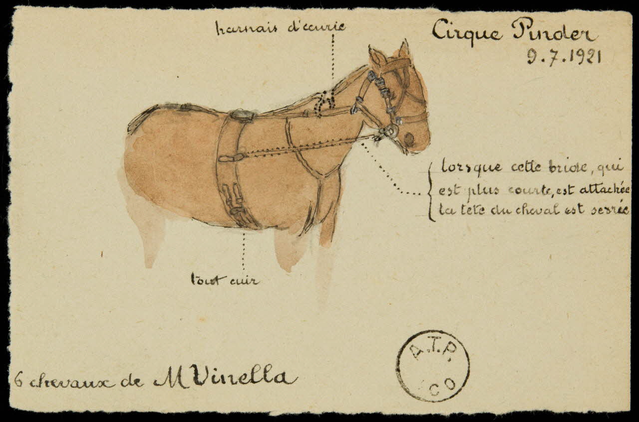 partie d'un ensemble de dessins 6 chevaux de M Vinella 1968.102.2418 Photo Mucem
