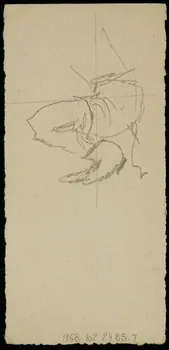 partie d'un ensemble de dessins Masque de cheval 1968.102.2485.7 Photo Mucem