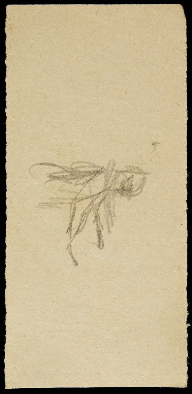 partie d'un ensemble de dessins Esquisse 1968.102.2490.14 Photo Mucem