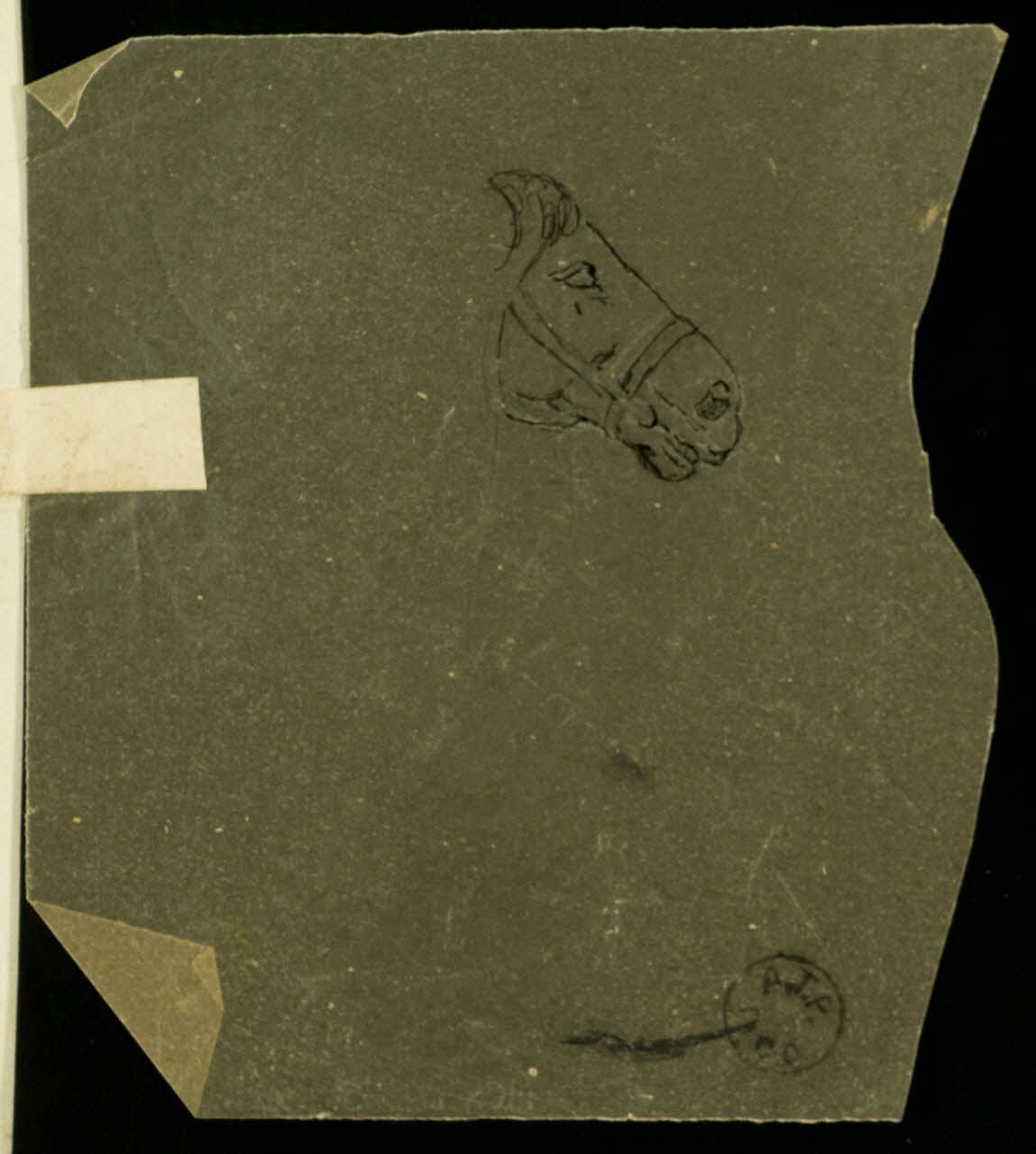 partie d'un ensemble de dessins Cheval 1968.102.2536.1 Photo Mucem