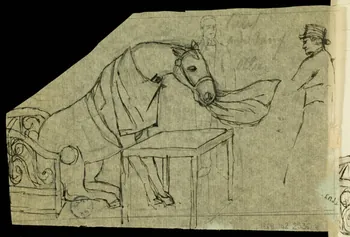 partie d'un ensemble de dessins Cheval mettant une nappe sur une table 1968.102.2536.4  Photo Mucem