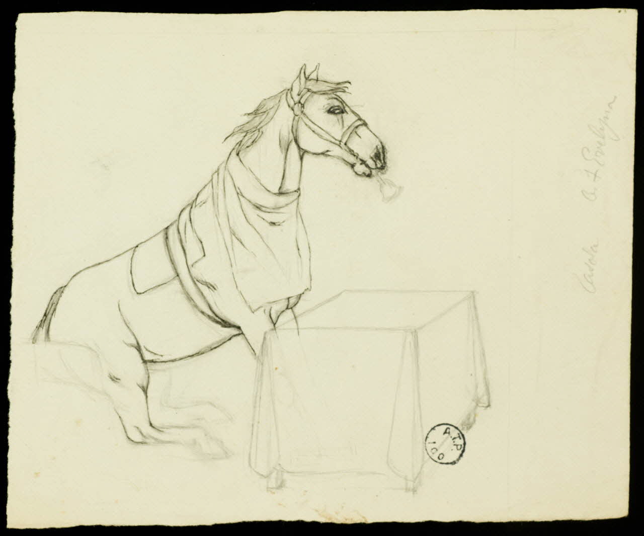 partie d'un ensemble de dessins Cheval à table 1968.102.2536.6 Photo Mucem