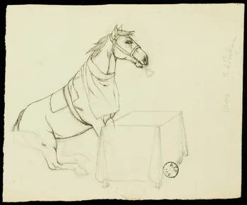 partie d'un ensemble de dessins Cheval à table 1968.102.2536.6  Photo Mucem